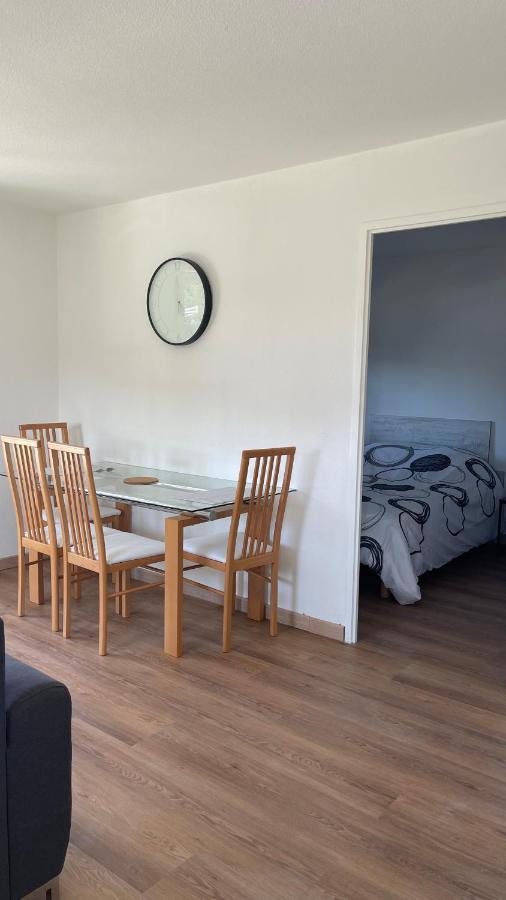 T2 Avec Piscine Apartment *
